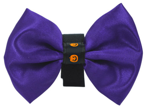 Elegant Satin Halloween Pet Bow with Pumpkin Trim