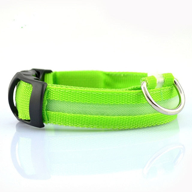 2 PCS Set Nylon LED Dog Collar| FREE SHIPPING -UNITED STATES |