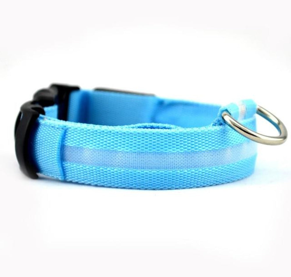 2 PCS Set Nylon LED Dog Collar| FREE SHIPPING -UNITED STATES |