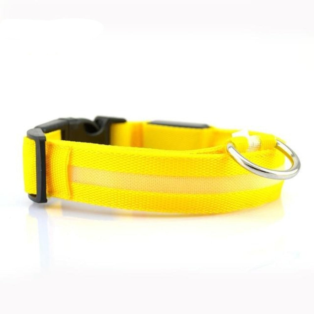 2 PCS Set Nylon LED Dog Collar| FREE SHIPPING -UNITED STATES |