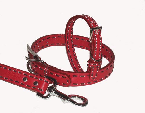 A Pets World 03011304-12 Leather Dog Collar- Red-Chocolate Saddle Stit