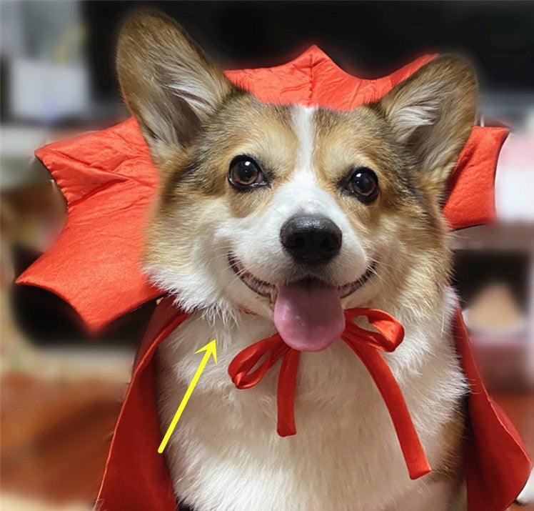 Vampire King Pet Halloween Cape