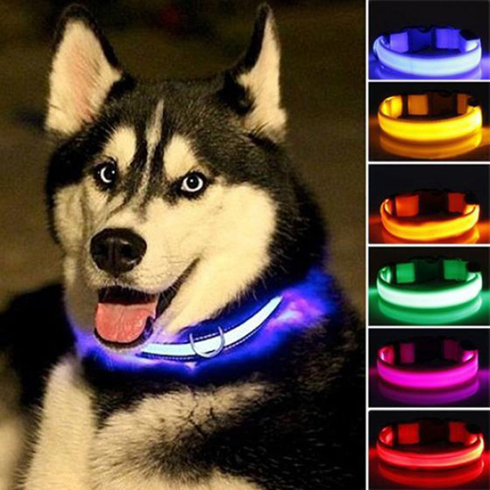 2 PCS Set Nylon LED Dog Collar| FREE SHIPPING -UNITED STATES |