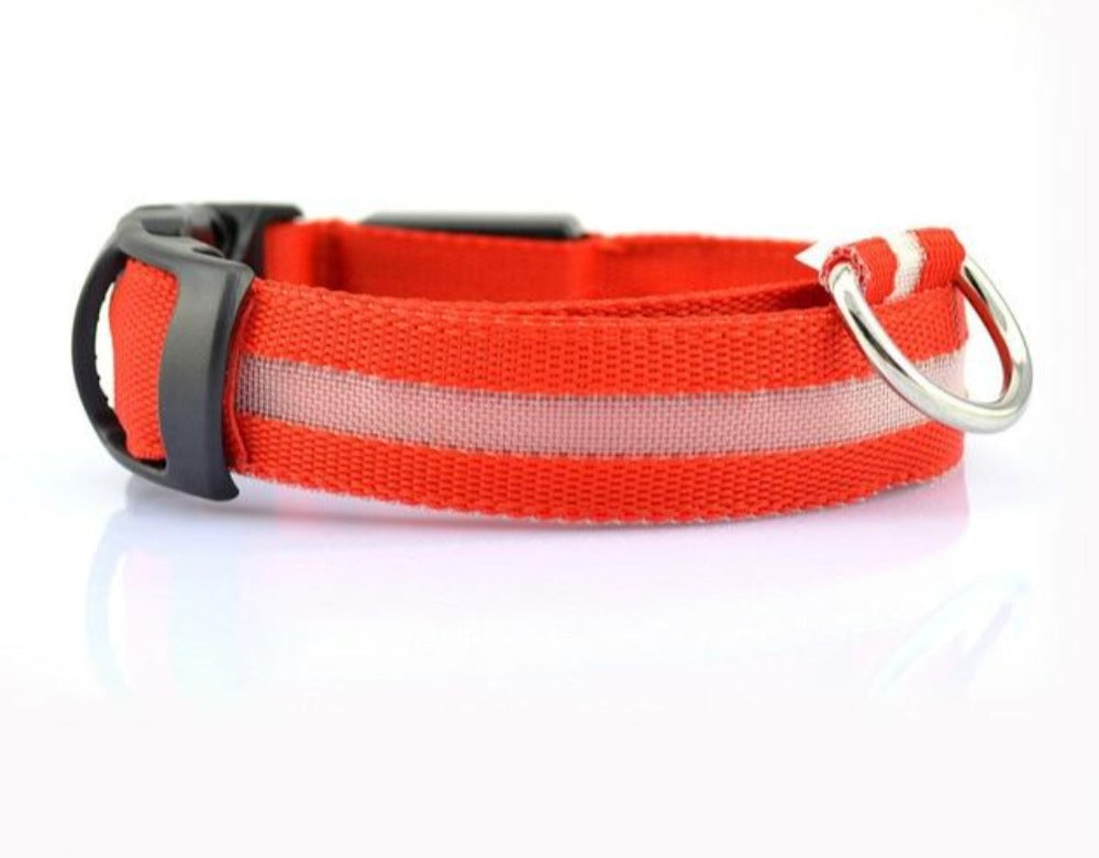 2 PCS Set Nylon LED Dog Collar| FREE SHIPPING -UNITED STATES |