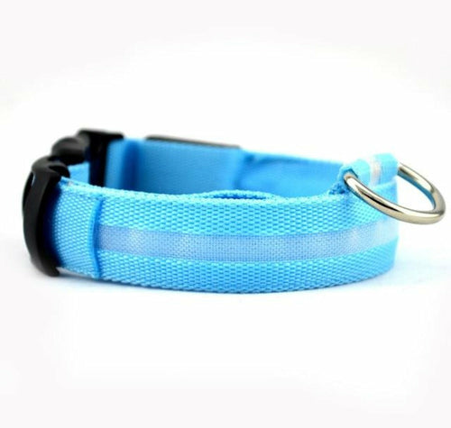 2 PCS Set Nylon LED Dog Collar| FREE SHIPPING -UNITED STATES |