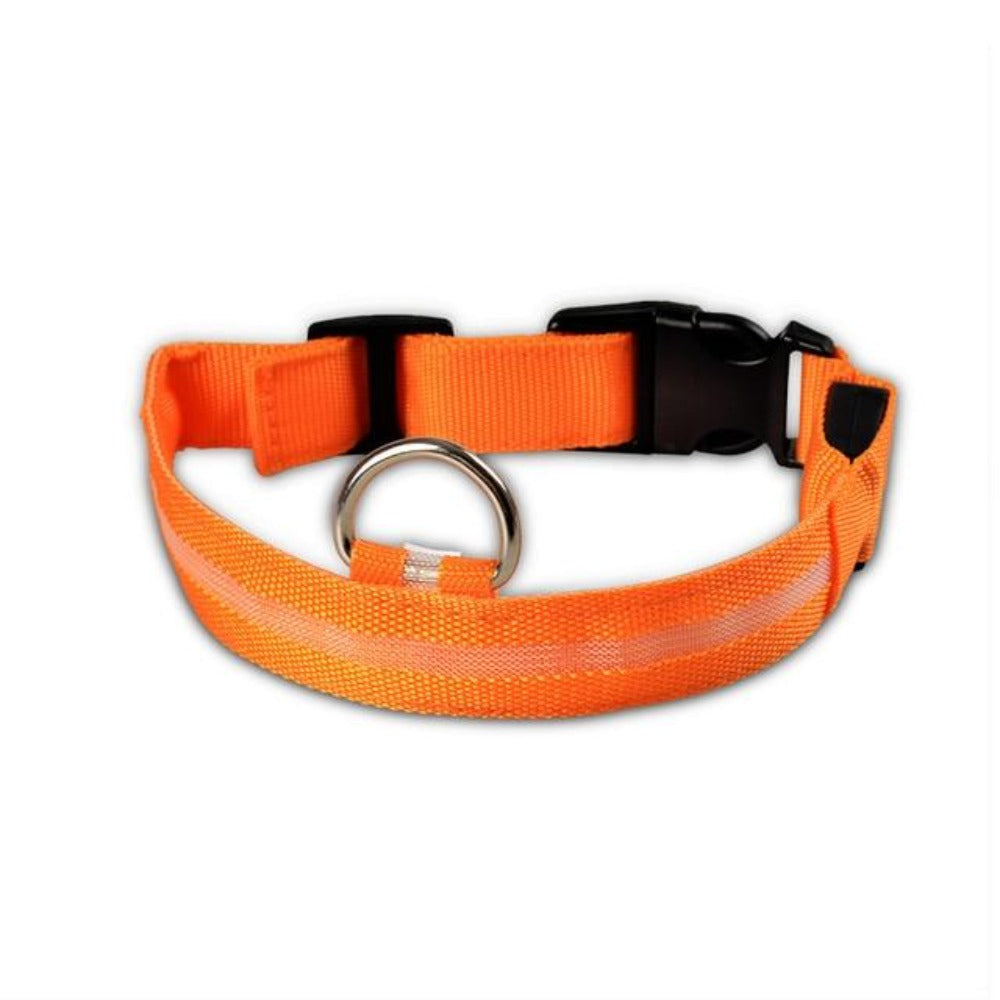 2 PCS Set Nylon LED Dog Collar| FREE SHIPPING -UNITED STATES |
