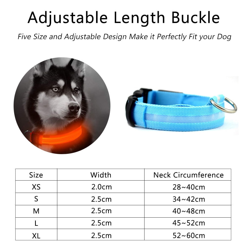 2 PCS Set Nylon LED Dog Collar| FREE SHIPPING -UNITED STATES |